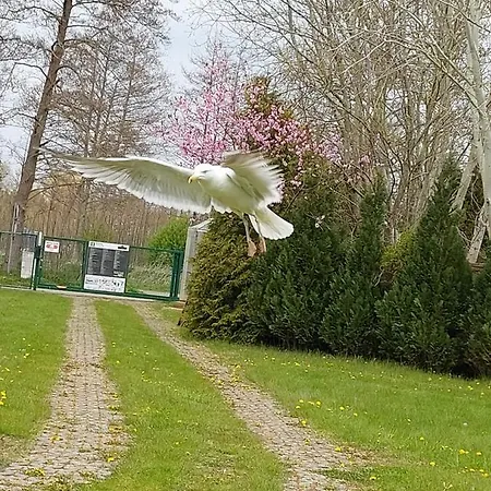 Sloneczny Brzeg Деревянный коттедж