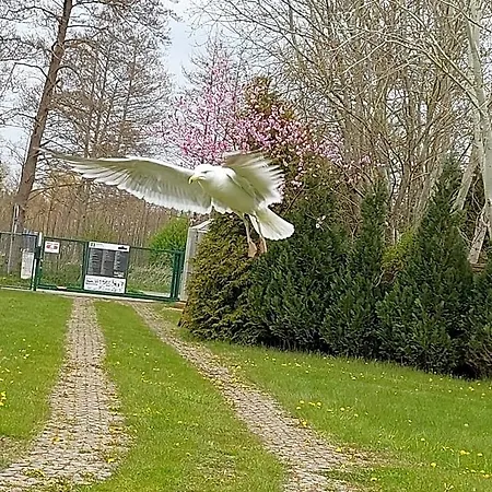Sloneczny Brzeg Gerendaház *